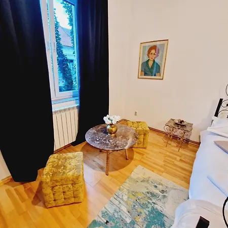 아파트 Historic 5 Star In The Main Plaza 클루지나포카