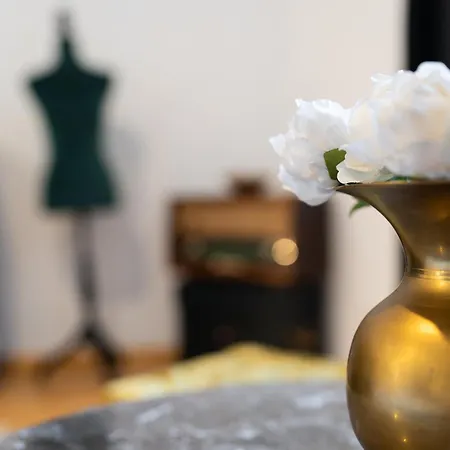 Διαμέρισμα Historic 5 Star In The Main Plaza Κλουζ-Ναπόκα