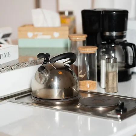 아파트 Historic 5 Star In The Main Plaza 클루지나포카