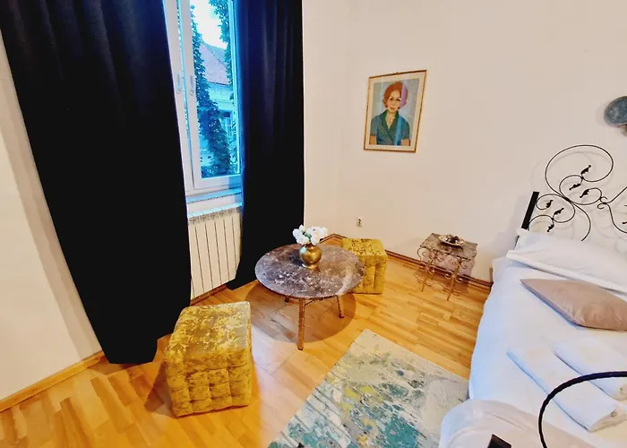 Διαμέρισμα Historic 5 Star In The Main Plaza Κλουζ-Ναπόκα