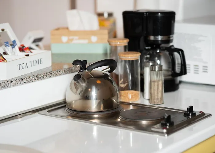 Διαμέρισμα Historic 5 Star In The Main Plaza Κλουζ-Ναπόκα