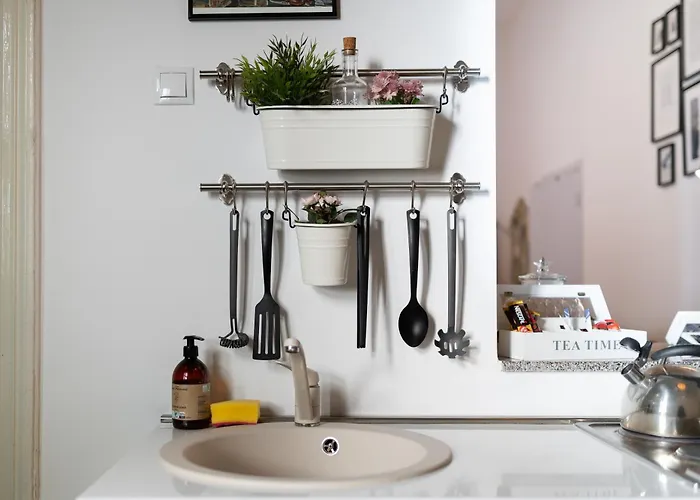 Historic 5 Star In The Main Plaza Διαμέρισμα Κλουζ-Ναπόκα